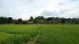 Bản làng Mường Phăng