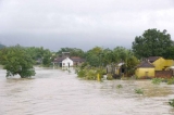 Bến Trường Trầu ở thị trấn Phú Phong bị chìm trong lũ