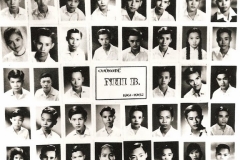  Cường Để 1956 - 1963