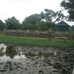 Hồ Tịnh Tâm (Huế) ngày nay...
