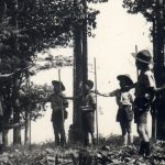 Hướng đạo sinh