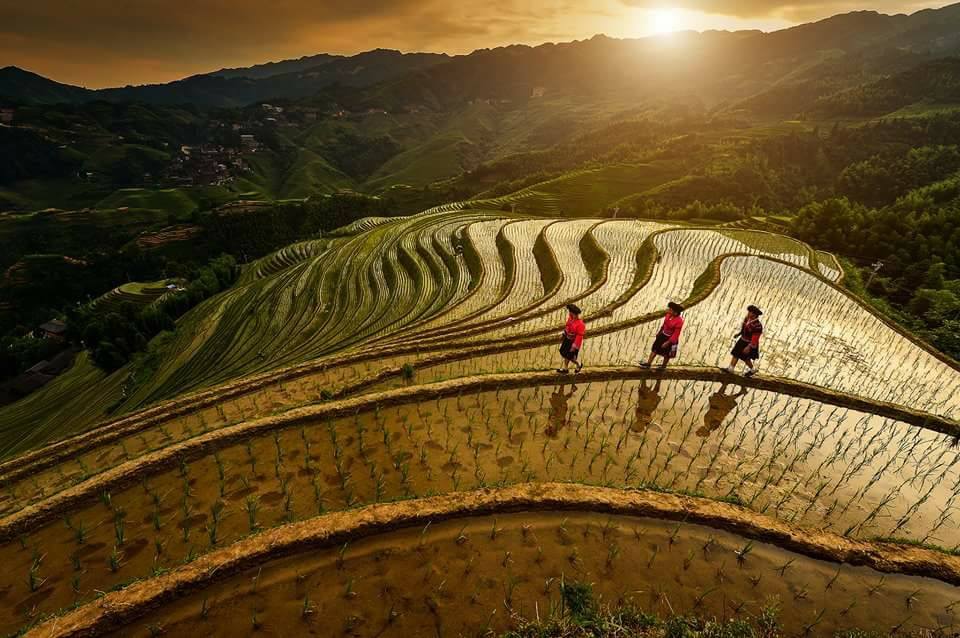 ruong nui