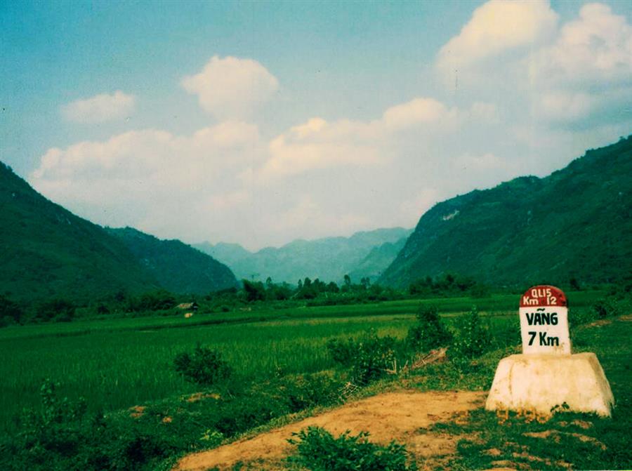 vang