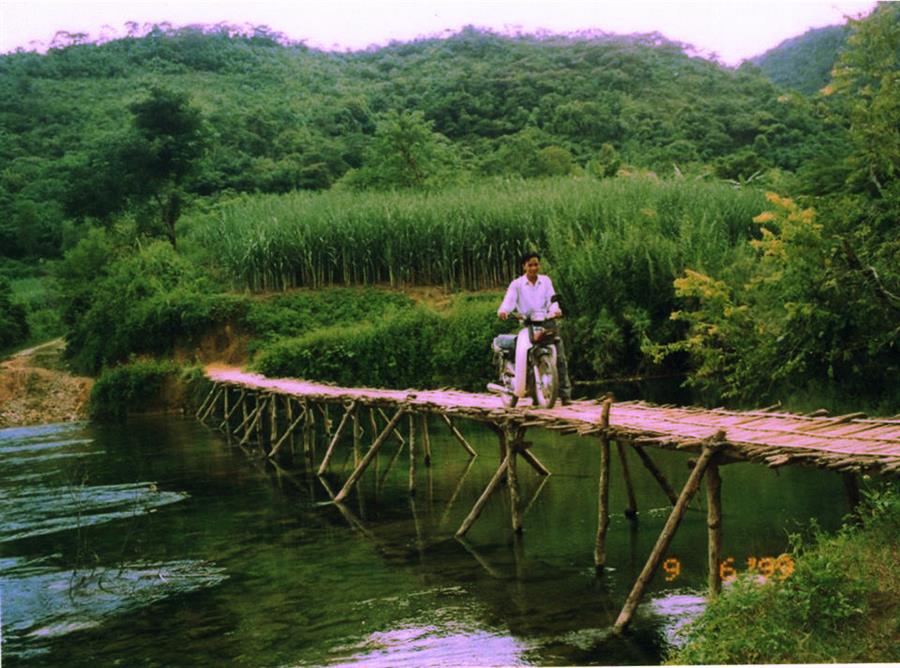 cau-treo