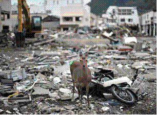 image003