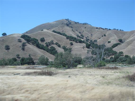 image0101