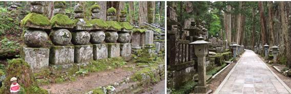 thien image002