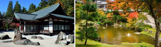 image003 zen7